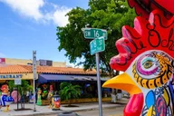 Miami Art Tour Vizcaya Wynwood Walls thumbnail 5
