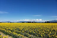 Whidbey Island and Deception Pass Excursion thumbnail 5