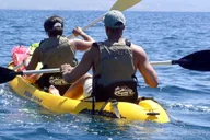 Maui Waterfall Tour with Kayak, Snorkel, and Hike thumbnail 2