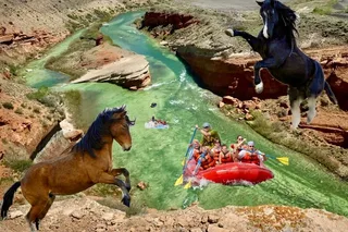 Cody Wild Mustangs and Rafting Trip