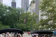 New York Central Park Pedicab Tour thumbnail 6