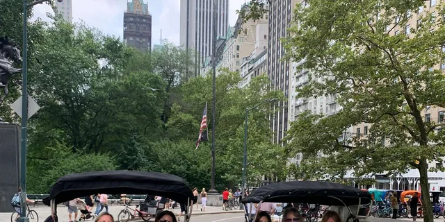 New York Central Park Pedicab Tour - Image 6