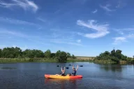 New Orleans Kayak Bayou Swamp Tour thumbnail 3