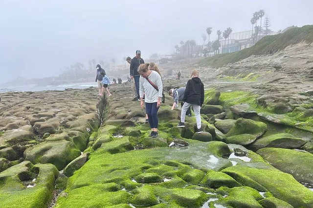 San Diego Tide Pool Tour - Image 2