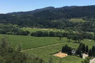 Napa and Sonoma Wine Tour thumbnail 3