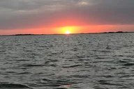Port Aransas Dolphin Watch and Sunset Boat Tour thumbnail 5