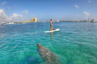 West Palm Beach Paddle Boarding to Peanut Island thumbnail 2