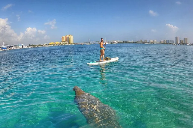 West Palm Beach Paddle Boarding to Peanut Island - Image 2