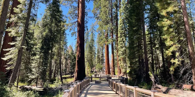 San Francisco Yosemite Giant Sequoias Private Tour 13 hr - Image 6