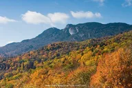 Asheville Walking Tour thumbnail 5