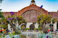 San Diego Museum of Art Private Guided Tour thumbnail 6
