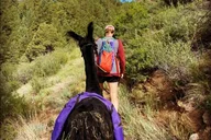 Rocky Mountains Llama Hike thumbnail 3
