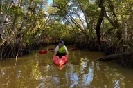 Everglades Kayak and Canoe Adventure thumbnail 4