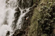 Hilo Waterfall Rappelling at Kulaniapia Falls thumbnail 5