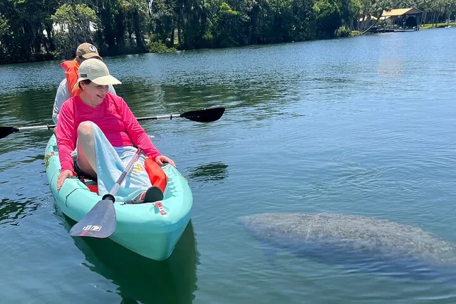 Crystal River Double Kayak Rental - Image 6