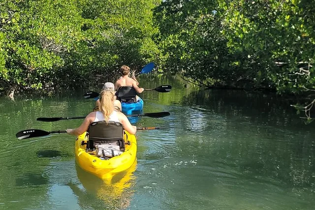 Florida Keys Kayak Tour in Mangrove Forests 3 hr - Image 2