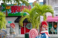Miami Little Havana Walking Tour thumbnail 5