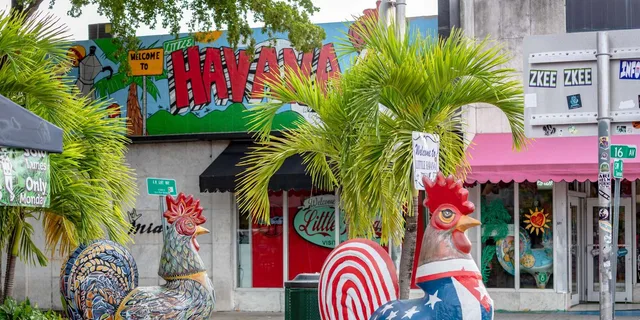 Miami Little Havana Walking Tour - Image 5