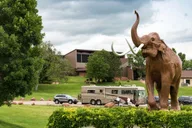 Custer State Park Jeep Safari & Mammoth Site Tour thumbnail 6