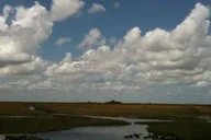 Miami Everglades Airboat Tour thumbnail 3