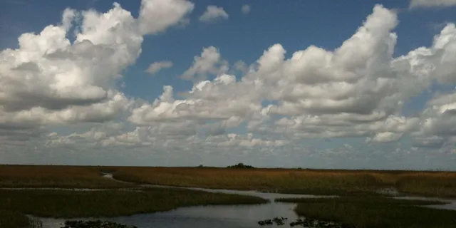 Miami Everglades Airboat Tour - Image 3