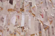 Charlotte Bridgerton Inspired Tea Tour 2 hr thumbnail 3