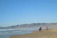 San Francisco Beach Horseback Ride & Alcatraz Tour thumbnail 5