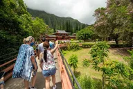 Oahu Grand Circle Island Small Group Tour thumbnail 5
