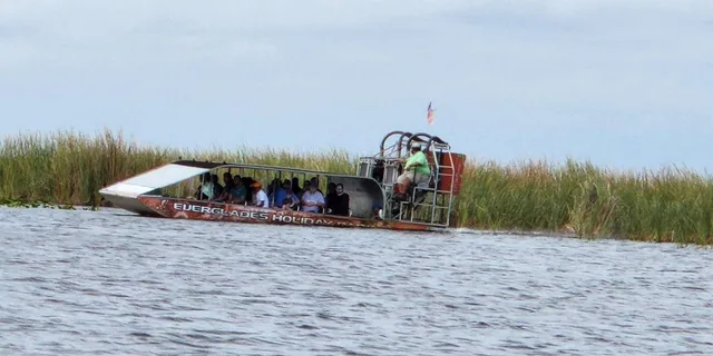 Miami Everglades Airboat Tour with Gator Encounter - Image 3