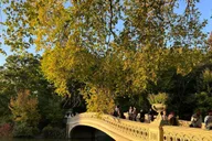 New York Central Park Walking Tour thumbnail 2