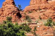 Sedona Vortex Tour with Professor Todd Denny thumbnail 4