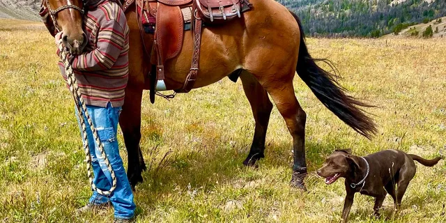 Jackson Hole Horseback Riding Adventure - Image 5
