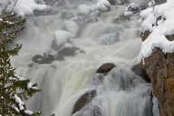 Yellowstone Winter Wolf Watching Safari thumbnail 6