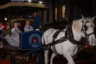 Charleston Haunted Horse-Drawn Carriage Tour thumbnail 2
