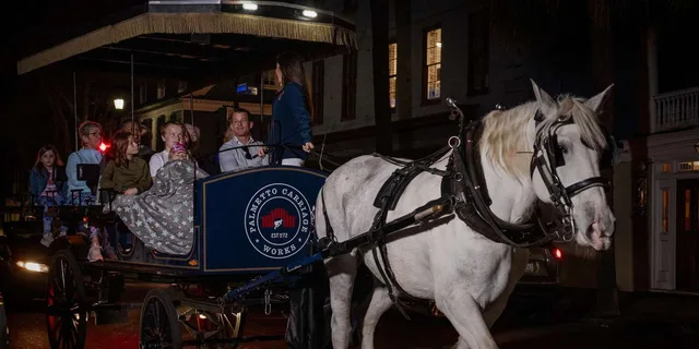 Charleston Haunted Horse-Drawn Carriage Tour - Image 2