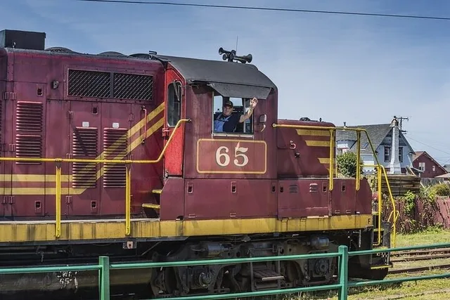 Mendocino Skunk Train Wolf Tree Turn Ride - Image 5