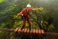 Adventure Course with Climbing Wall and Rappel thumbnail 6