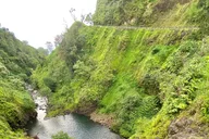 Maui Road to Hana Private Tour thumbnail 3