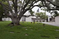 Los Angeles Private Full-Day Tour with Historian thumbnail 5