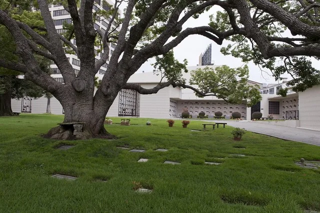 Los Angeles Private Full-Day Tour with Historian - Image 5