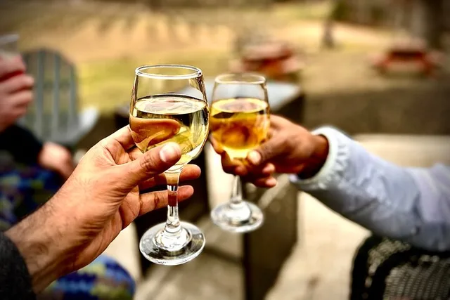 Atlanta Hike and Wine Tasting Tour - Image 2
