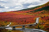 Fairbanks Denali National Park Day Tour thumbnail 4