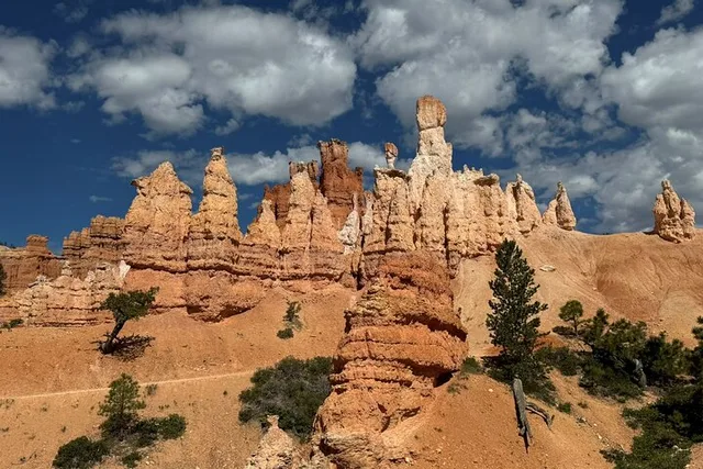 Bryce Canyon Private Tour - Image 6
