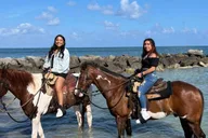 Miami Beach Horse Ride and Nature Trail thumbnail 4