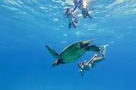 Waikiki Turtle Canyon Snorkel Excursion thumbnail 3