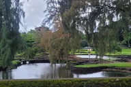 Hilo Meditative Garden Journey thumbnail 2