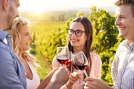 Portland Willamette Valley Wine Tour 8 hr thumbnail 2