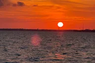 Destin Coastal Tour to Crab Island and Harbor thumbnail 5