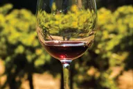 San Francisco Wine and City Tour thumbnail 2