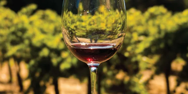 San Francisco Wine and City Tour - Image 2